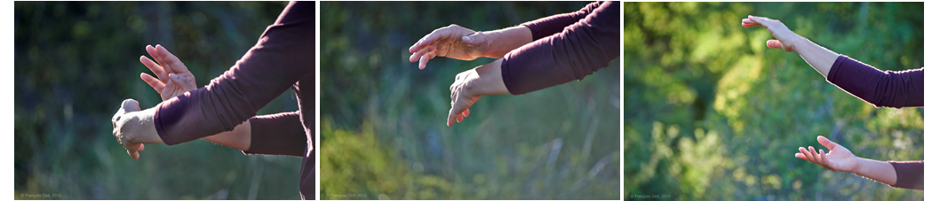 Tai-Chi-Qi-Gong-les-mains-gueule-du-tigre Tai-Chi-Qi-Gong-les-mains-gueule-du-tigre